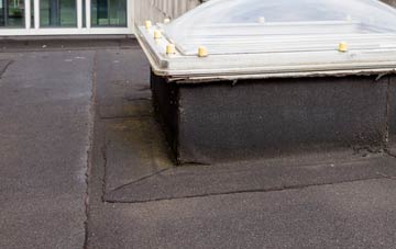 disadvantages of City Dulas flat roofs