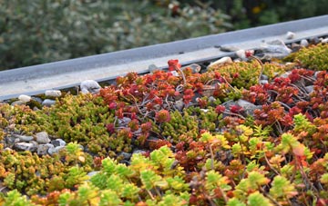 the cost of City Dulas green roof installation