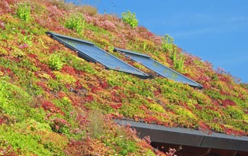 City Dulas living roof systems