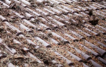 City Dulas roof cleaning companies