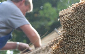 professional City Dulas thatchers