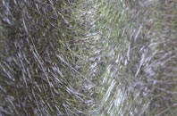 City Dulas fibreglass roof work